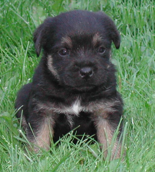 image_7.jpg