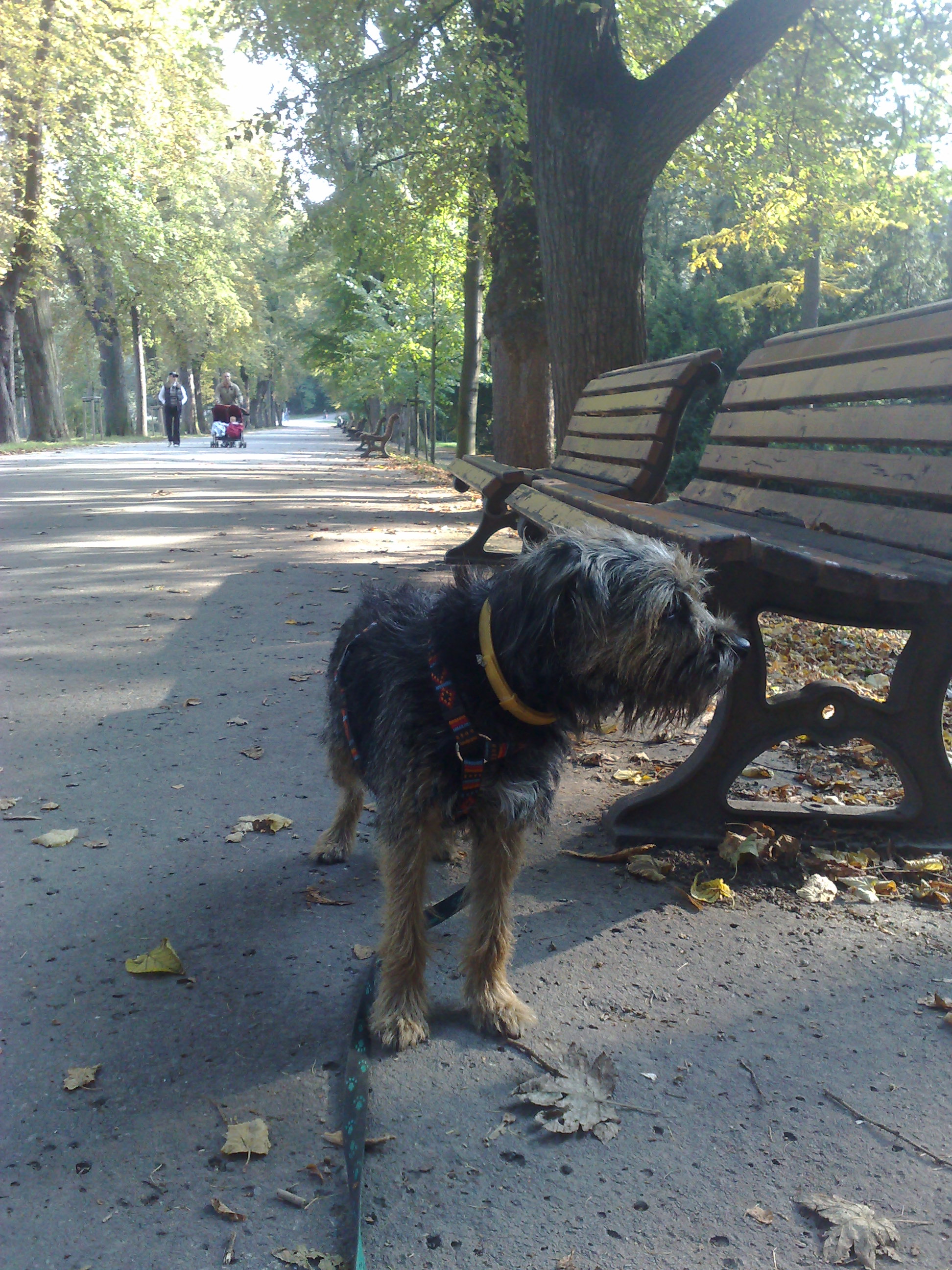 27092008419.jpg