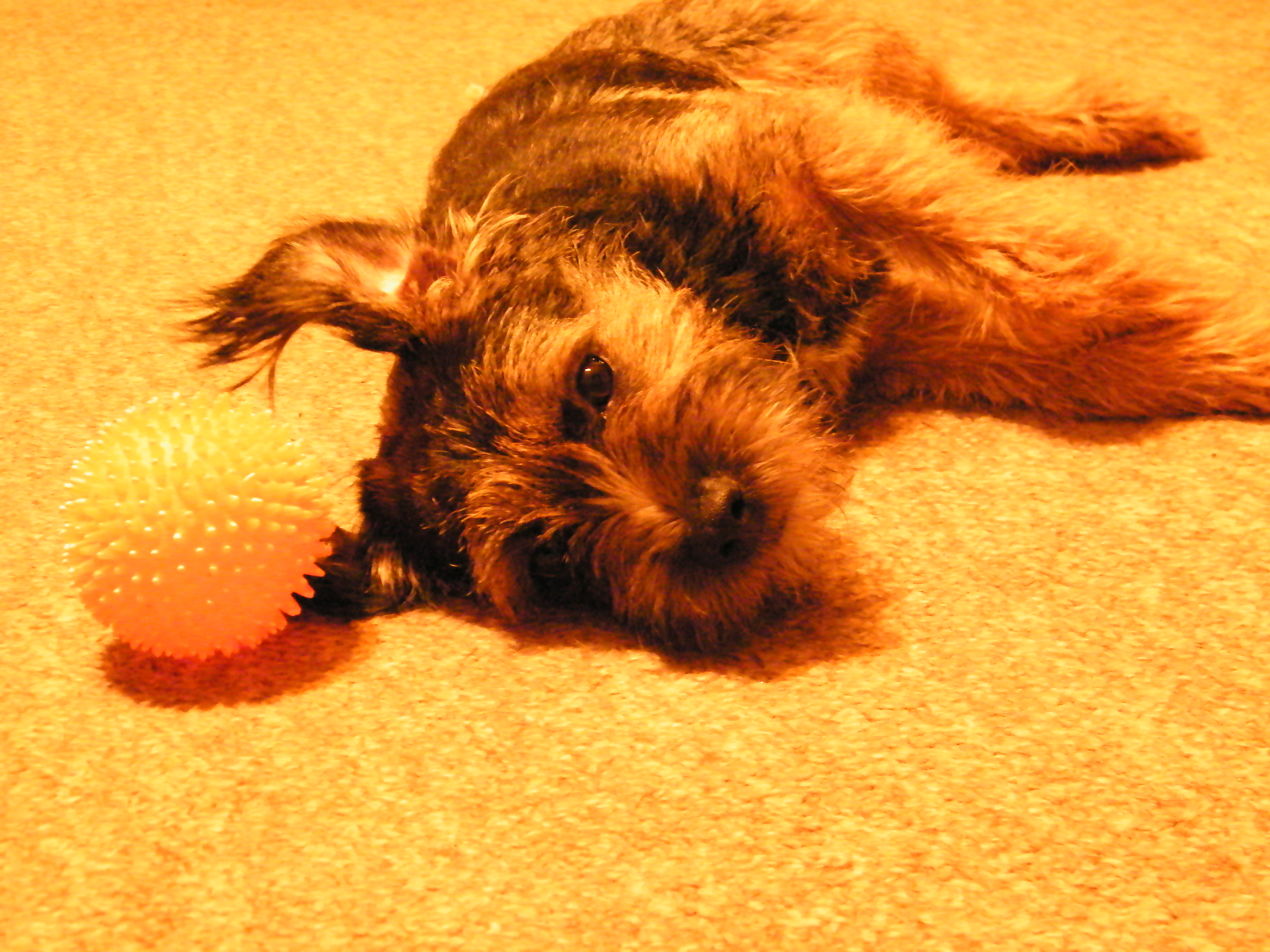 2009_11200006.JPG