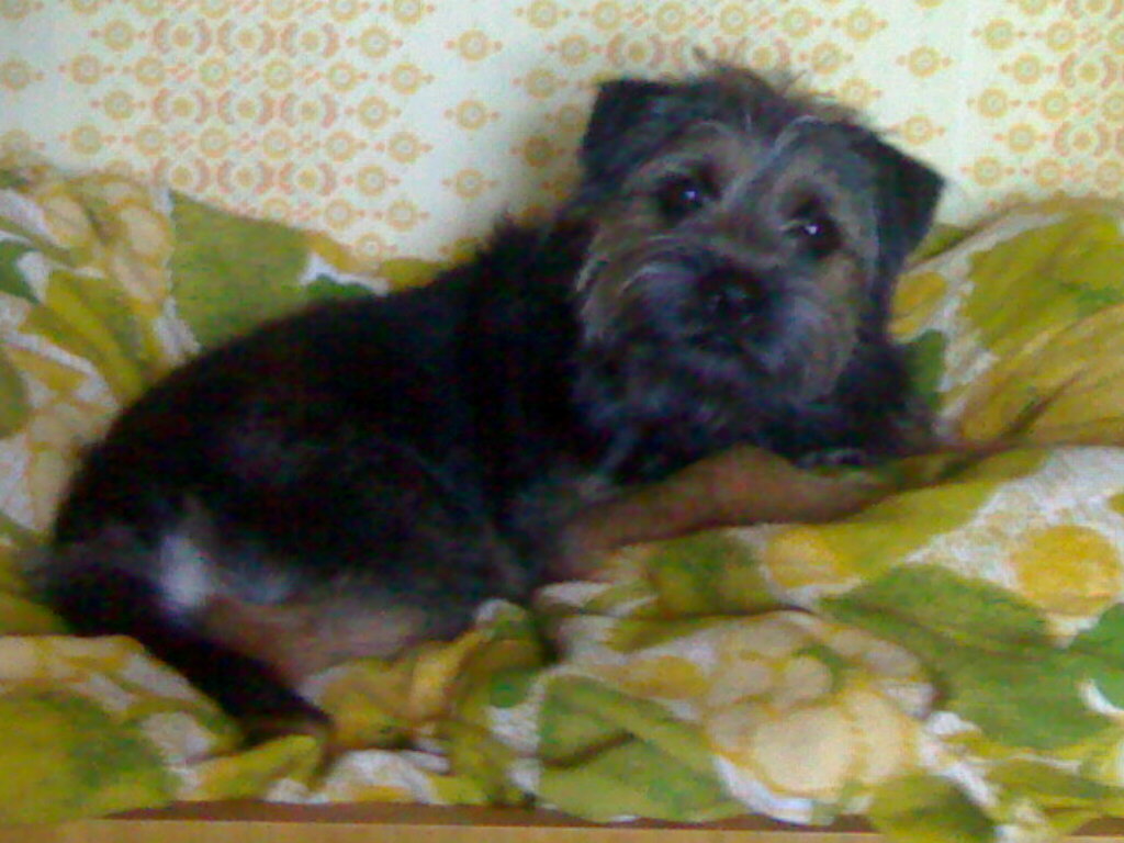 24062006160.jpg