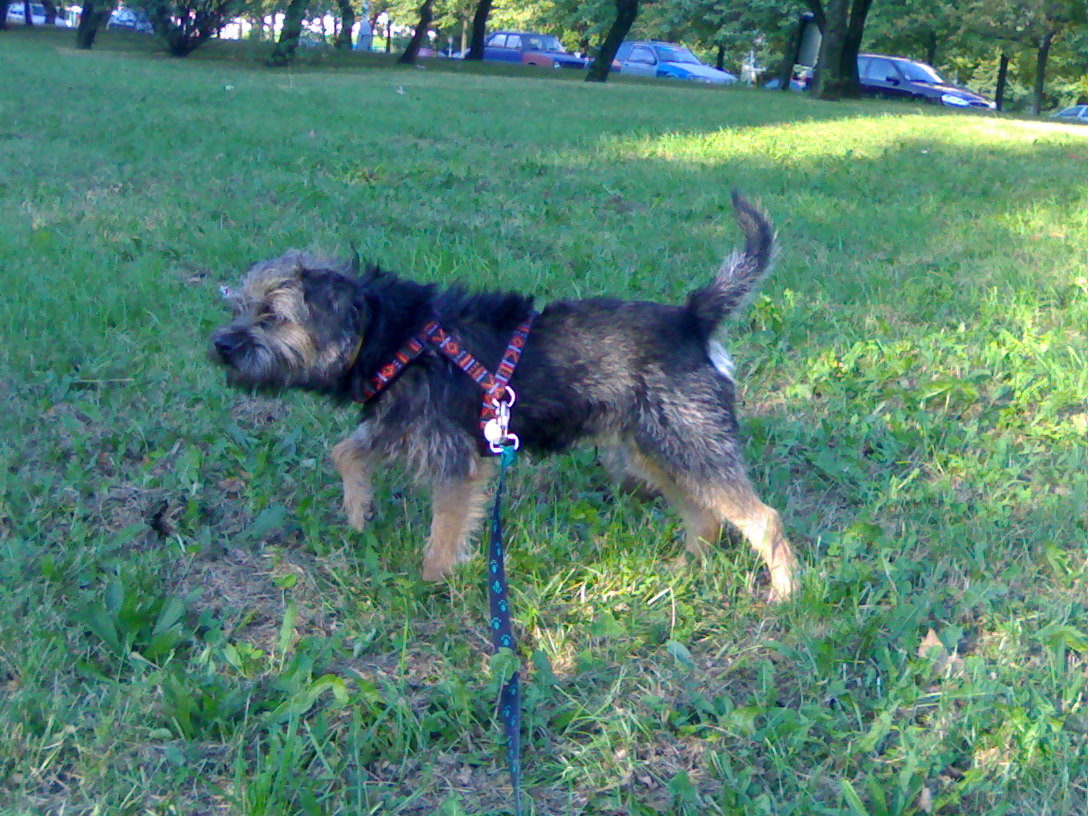 17092006360.jpg